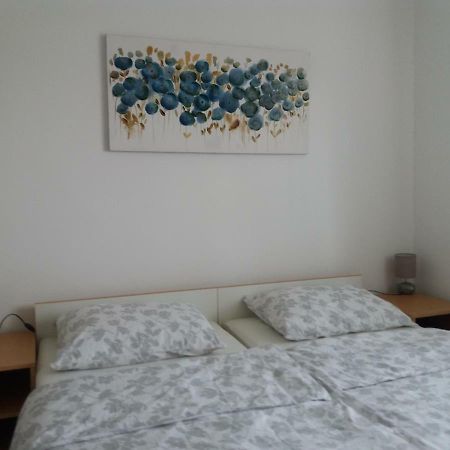 Apartment Hinic Vrhovine Екстериор снимка