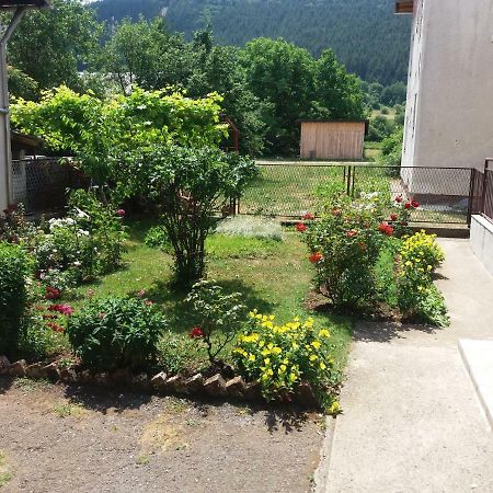 Apartment Hinic Vrhovine Екстериор снимка